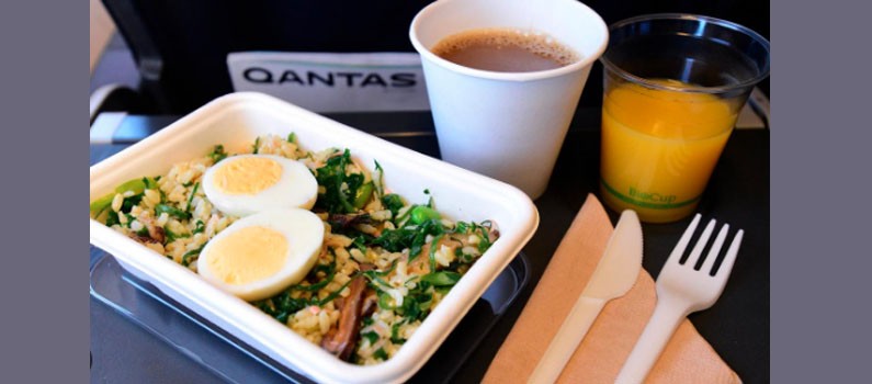 best airlines - sustainable delicious food services