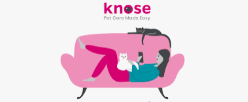 best pet insurance - knose