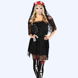 Black Lace Halloween Women's Dress