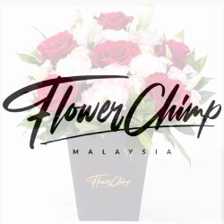 Flower Chimp Sale