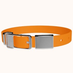 Frank Green Pet Collars with Name Tag Review