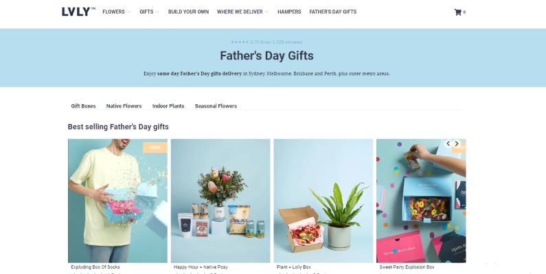 LVLY Father's Day Sale